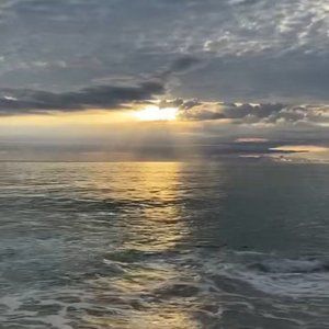 Meet your Posher, Dawn